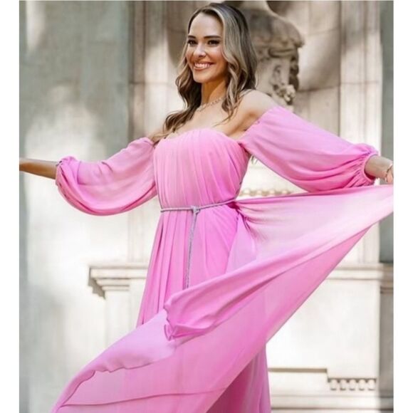 Antonio Melani x Breast Cancer Awareness Pink Stacy Chiffon Dress NWT Size 4 - Picture 3 of 13